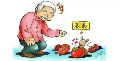 流行性出血热—一只老鼠引发的